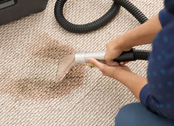 
Carpet Stain Removal Service